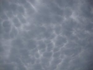 Final Set of Pictures 022